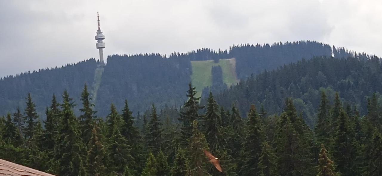 Спа,Ски Апартамент Дайли, Стрийм Ризорт Пампорово Luaran gambar